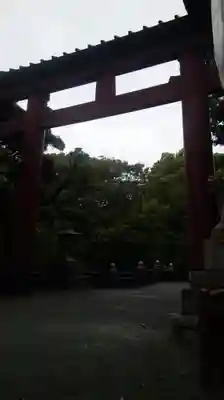 平塚八幡宮の鳥居