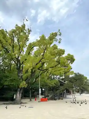 筥崎宮(福岡県)