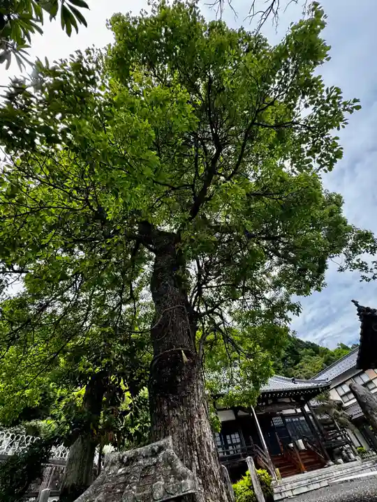 見河山 妙雲寺(京都府)