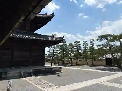 妙心寺（妙心禅寺）(京都府)