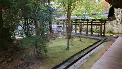 龍安寺の{uncategorized: "未分類", other: "その他", undefined: "問題あり", building: "その他建物", grave: "お墓", sacred_gate: "鳥居", guardian: "狛犬", statue: "像", buddha: "仏像", history: "歴史", nature: "自然", garden: "庭園", animal: "動物", pagoda: "塔", temizu: "手水舎", mountain_gate: "山門・神門", sanctuary: "本殿・本堂", subordinate: "末社・摂社", art: "芸術", scenery: "景色", jizo: "地蔵", ema: "絵馬", goshuin: "御朱印", omikuji: "おみくじ", items: "授与品その他", amulet: "お守り", goshuincho: "御朱印帳", eats: "食事", festival: "お祭り", votive_dance: "神楽", shichigosan: "七五三参", wedding: "結婚式", experience: "体験その他", initially: "初詣", around: "周辺", anti_infection: "感染症対策"}
