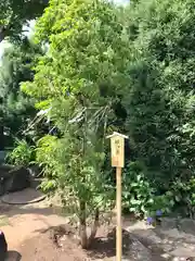 検見川神社の庭園