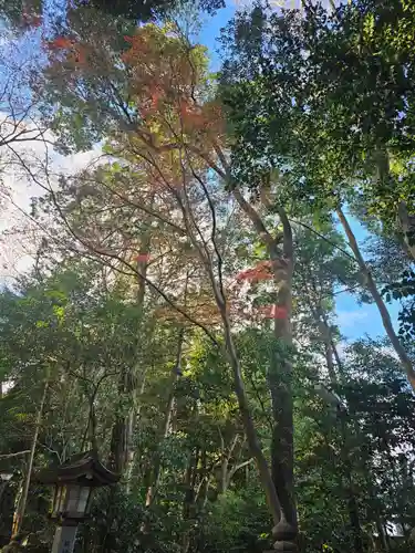 駒木諏訪神社(千葉県)