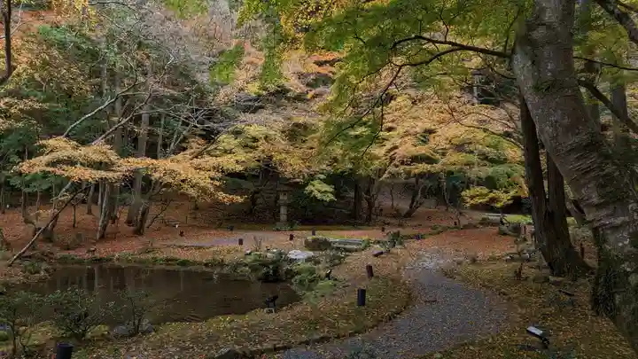 醍醐寺(京都府)