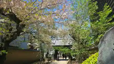 新井薬師（梅照院）の{uncategorized: "未分類", other: "その他", undefined: "問題あり", building: "その他建物", grave: "お墓", sacred_gate: "鳥居", guardian: "狛犬", statue: "像", buddha: "仏像", history: "歴史", nature: "自然", garden: "庭園", animal: "動物", pagoda: "塔", temizu: "手水舎", mountain_gate: "山門・神門", sanctuary: "本殿・本堂", subordinate: "末社・摂社", art: "芸術", scenery: "景色", jizo: "地蔵", ema: "絵馬", goshuin: "御朱印", omikuji: "おみくじ", items: "授与品その他", amulet: "お守り", goshuincho: "御朱印帳", eats: "食事", festival: "お祭り", votive_dance: "神楽", shichigosan: "七五三参", wedding: "結婚式", experience: "体験その他", initially: "初詣", around: "周辺", anti_infection: "感染症対策"}