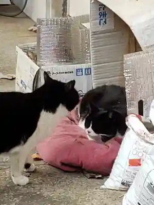 白金氷川神社(東京都)