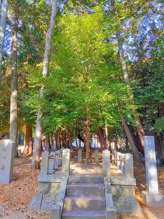 大岡白山神社の自然