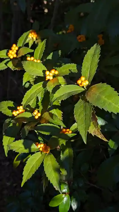 東北院(京都府)