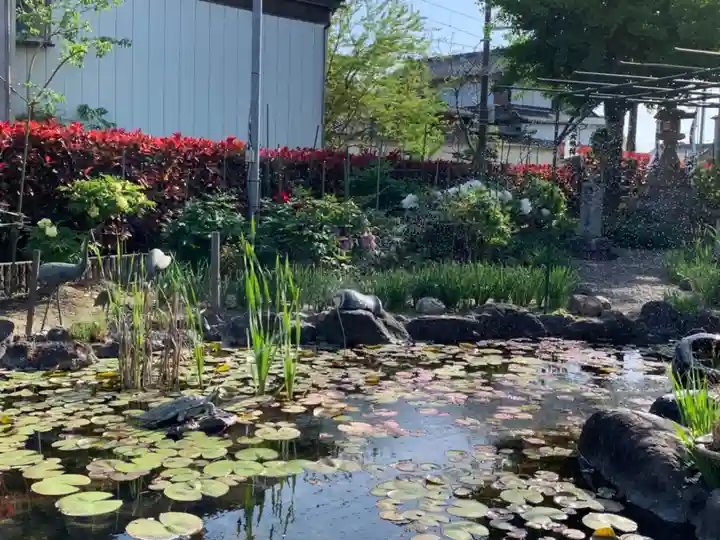 本覚寺(岐阜県)