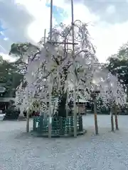 大國魂神社(東京都)