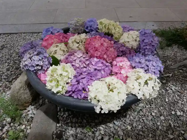 埼玉厄除け開運大師・龍泉寺(切り絵御朱印発祥の寺)(埼玉県)