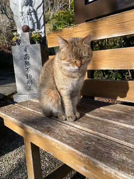 真野寺(千葉県)