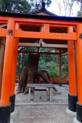 伏見稲荷大社の鳥居