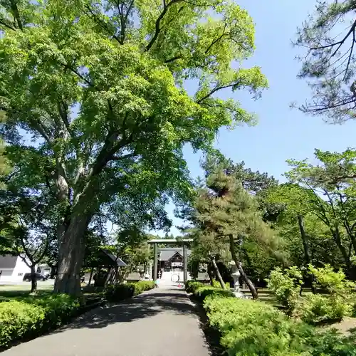 当別神社の自然