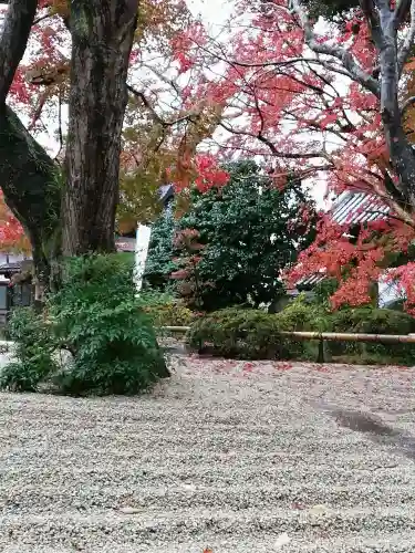 月山寺の庭園