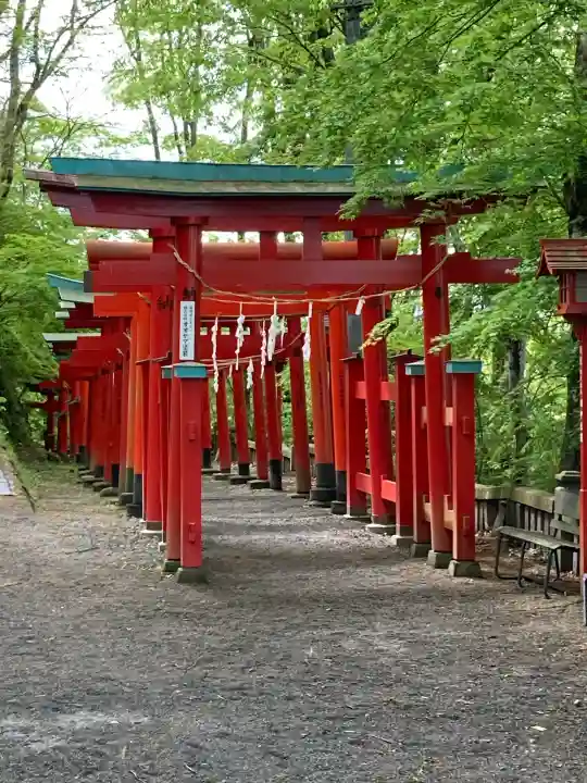 鼻顔稲荷神社の{uncategorized: "未分類", other: "その他", undefined: "問題あり", building: "その他建物", grave: "お墓", sacred_gate: "鳥居", guardian: "狛犬", statue: "像", buddha: "仏像", history: "歴史", nature: "自然", garden: "庭園", animal: "動物", pagoda: "塔", temizu: "手水舎", mountain_gate: "山門・神門", sanctuary: "本殿・本堂", subordinate: "末社・摂社", art: "芸術", scenery: "景色", jizo: "地蔵", ema: "絵馬", goshuin: "御朱印", omikuji: "おみくじ", items: "授与品その他", amulet: "お守り", goshuincho: "御朱印帳", eats: "食事", festival: "お祭り", votive_dance: "神楽", shichigosan: "七五三参", wedding: "結婚式", experience: "体験その他", initially: "初詣", around: "周辺", anti_infection: "感染症対策"}