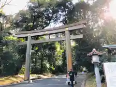 明治神宮の鳥居