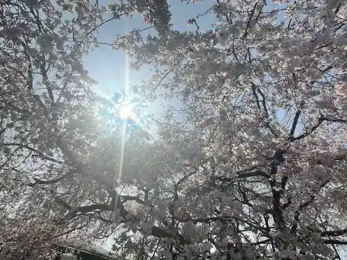 道成寺(和歌山県)