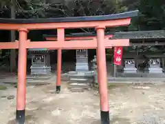 白鬚神社(滋賀県)