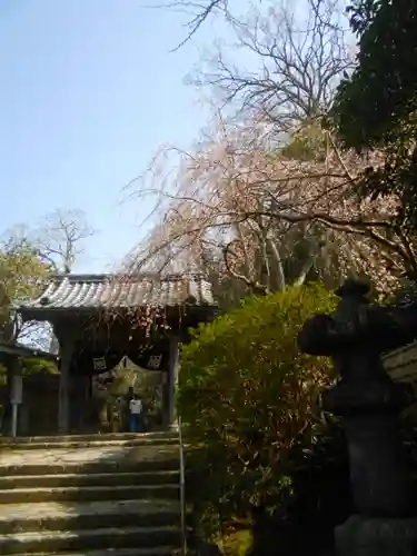 安國論寺（安国論寺）の山門・神門