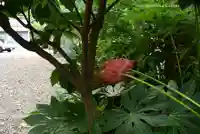 秋葉神社(東京都)