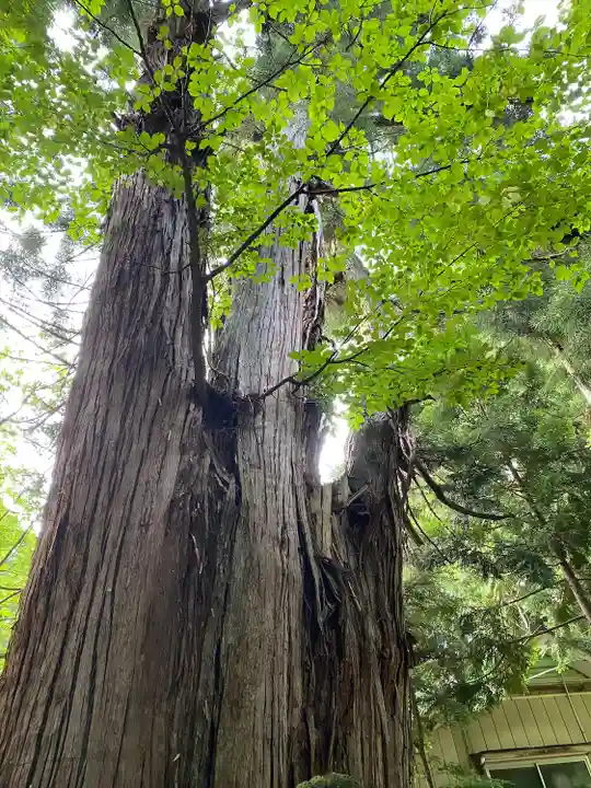 磐椅神社(福島県)