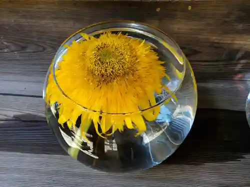 滑川神社 - 仕事と子どもの守り神の手水舎