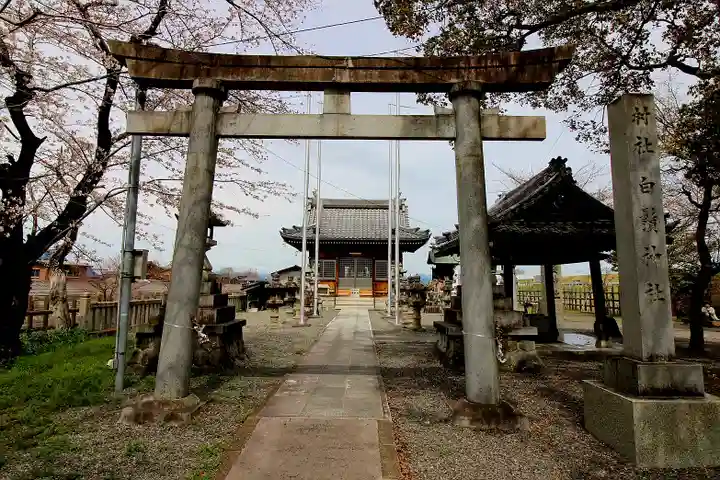 白髭神社(岐阜県)