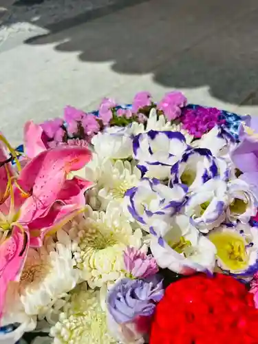 埼玉厄除け開運大師・龍泉寺（切り絵御朱印発祥の寺）(埼玉県)