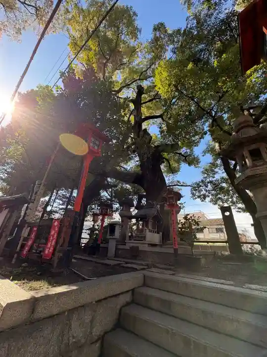 若一神社の{uncategorized: "未分類", other: "その他", undefined: "問題あり", building: "その他建物", grave: "お墓", sacred_gate: "鳥居", guardian: "狛犬", statue: "像", buddha: "仏像", history: "歴史", nature: "自然", garden: "庭園", animal: "動物", pagoda: "塔", temizu: "手水舎", mountain_gate: "山門・神門", sanctuary: "本殿・本堂", subordinate: "末社・摂社", art: "芸術", scenery: "景色", jizo: "地蔵", ema: "絵馬", goshuin: "御朱印", omikuji: "おみくじ", items: "授与品その他", amulet: "お守り", goshuincho: "御朱印帳", eats: "食事", festival: "お祭り", votive_dance: "神楽", shichigosan: "七五三参", wedding: "結婚式", experience: "体験その他", initially: "初詣", around: "周辺", anti_infection: "感染症対策"}