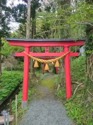猿子沢神社の{uncategorized: "未分類", other: "その他", undefined: "問題あり", building: "その他建物", grave: "お墓", sacred_gate: "鳥居", guardian: "狛犬", statue: "像", buddha: "仏像", history: "歴史", nature: "自然", garden: "庭園", animal: "動物", pagoda: "塔", temizu: "手水舎", mountain_gate: "山門・神門", sanctuary: "本殿・本堂", subordinate: "末社・摂社", art: "芸術", scenery: "景色", jizo: "地蔵", ema: "絵馬", goshuin: "御朱印", omikuji: "おみくじ", items: "授与品その他", amulet: "お守り", goshuincho: "御朱印帳", eats: "食事", festival: "お祭り", votive_dance: "神楽", shichigosan: "七五三参", wedding: "結婚式", experience: "体験その他", initially: "初詣", around: "周辺", anti_infection: "感染症対策"}
