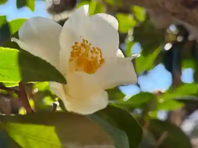 西方山極楽寺(岐阜県)