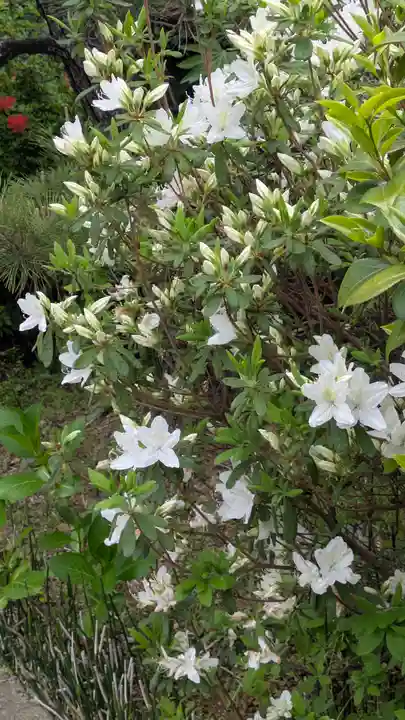 正覚寺(京都府)