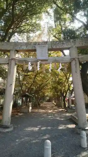 男神社の鳥居