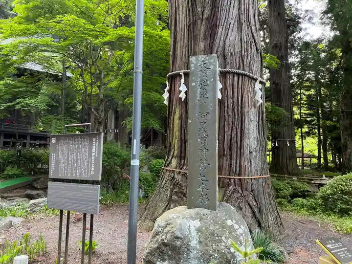 河口浅間神社のその他建物