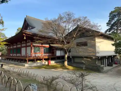 毛越寺(岩手県)