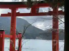 箱根神社(神奈川県)