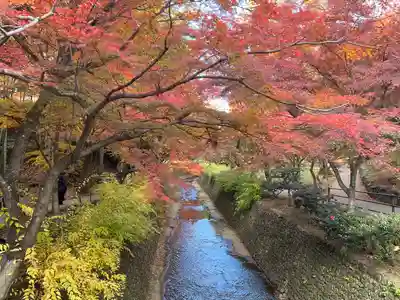 北野天満宮(京都府)