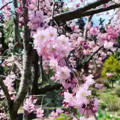 豊景神社の自然