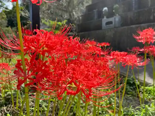 玄性寺(栃木県)