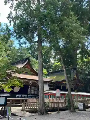 鹿島神宮(茨城県)