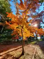 神炊館神社 ⁂奥州須賀川総鎮守⁂(福島県)