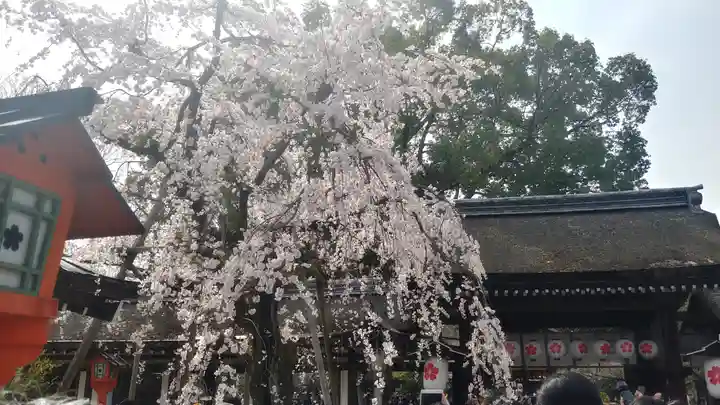 平野神社(京都府)