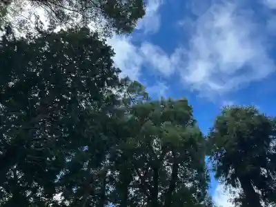 素盞嗚神社(兵庫県)