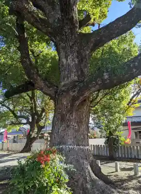 金岡神社(大阪府)