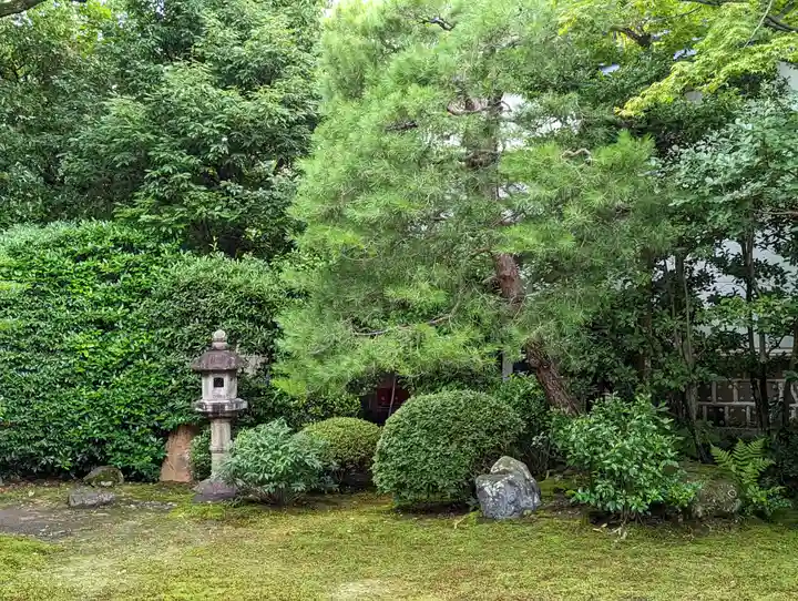 本法寺の庭園