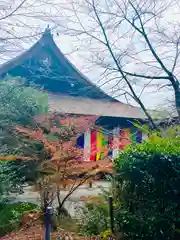 園城寺（三井寺）(滋賀県)