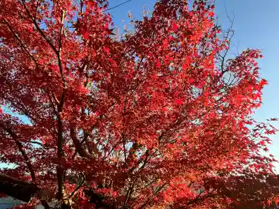 宝来山神社(和歌山県)