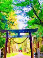 中村八幡宮(栃木県)