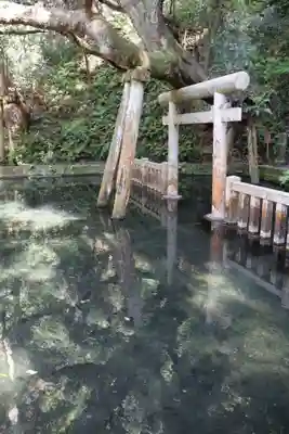 鹿島神宮(茨城県)